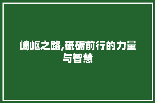 崎岖之路,砥砺前行的力量与智慧