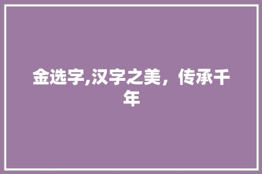 金选字,汉字之美，传承千年