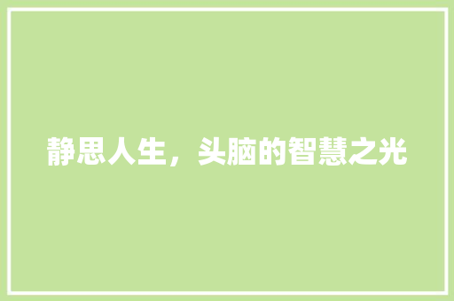 静思人生,头脑的智慧之光