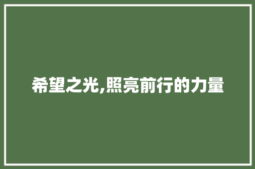 希望之光,照亮前行的力量