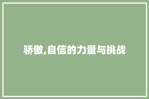 骄傲,自信的力量与挑战