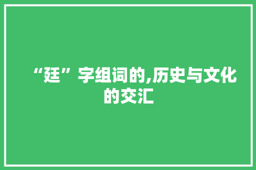 “廷”字组词的,历史与文化的交汇