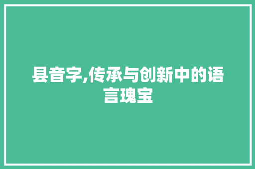 县音字,传承与创新中的语言瑰宝