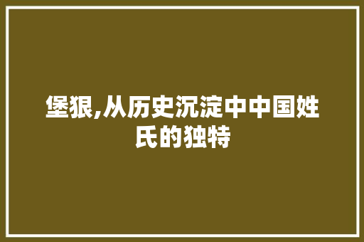 堡狠,从历史沉淀中中国姓氏的独特