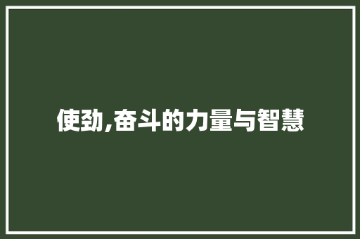 使劲,奋斗的力量与智慧