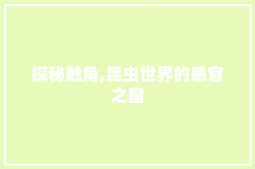 探秘触角,昆虫世界的感官之窗