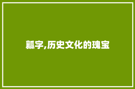 瓤字,历史文化的瑰宝