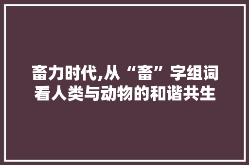 畜力时代,从“畜”字组词看人类与动物的和谐共生