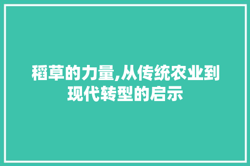 稻草的力量,从传统农业到现代转型的启示
