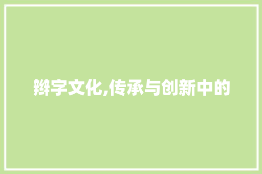 辫字文化,传承与创新中的