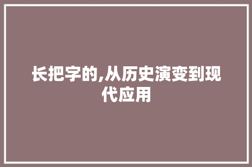 长把字的,从历史演变到现代应用