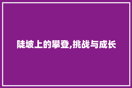 陡坡上的攀登,挑战与成长