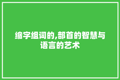 缩字组词的,部首的智慧与语言的艺术