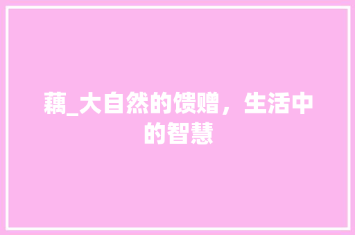 藕_大自然的馈赠，生活中的智慧