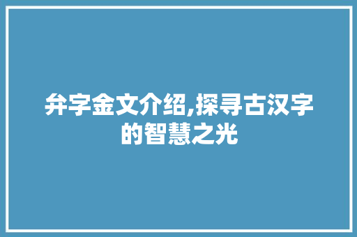 弁字金文介绍,探寻古汉字的智慧之光