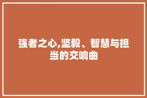 强者之心,坚毅、智慧与担当的交响曲