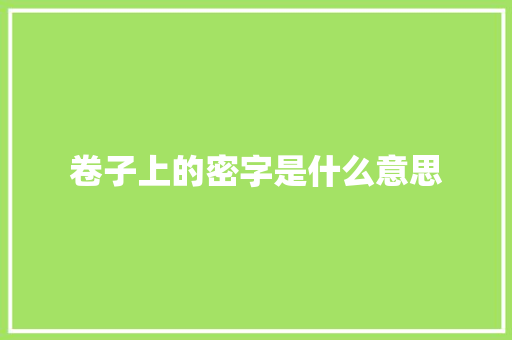 卷子上的密字是什么意思