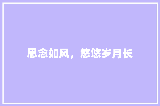 思念如风，悠悠岁月长