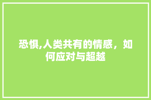恐惧,人类共有的情感，如何应对与超越