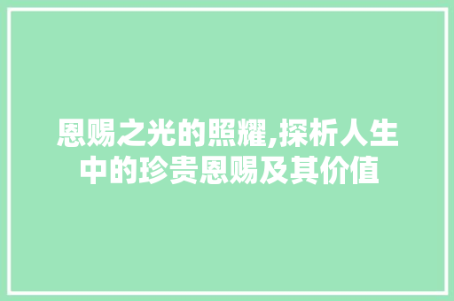 恩赐之光的照耀,探析人生中的珍贵恩赐及其价值