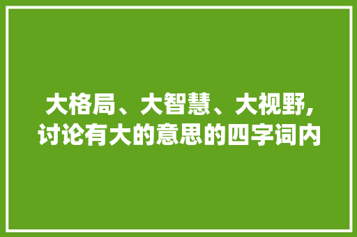大格局、大智慧、大视野,讨论有大的意思的四字词内涵_有大的意思的四字词