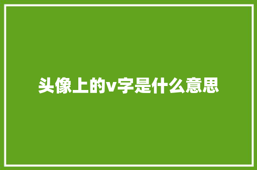 头像上的v字是什么意思