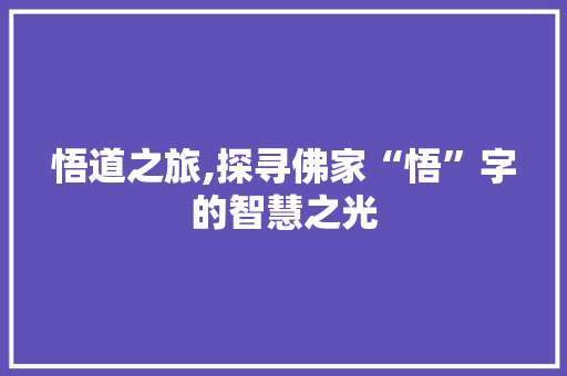 悟道之旅,探寻佛家“悟”字的智慧之光