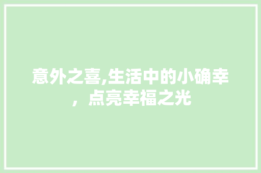 意外之喜,生活中的小确幸，点亮幸福之光