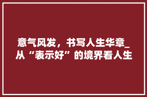 意气风发，书写人生华章_从“表示好”的境界看人生哲学