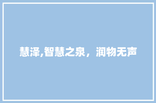 慧泽,智慧之泉，润物无声