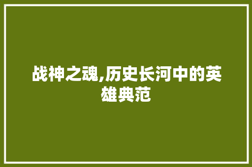 战神之魂,历史长河中的英雄典范