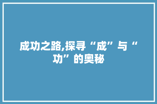 成功之路,探寻“成”与“功”的奥秘