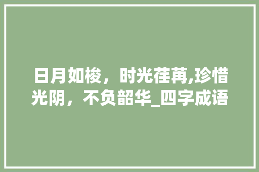 日月如梭，时光荏苒,珍惜光阴，不负韶华_四字成语日月如梭的意思