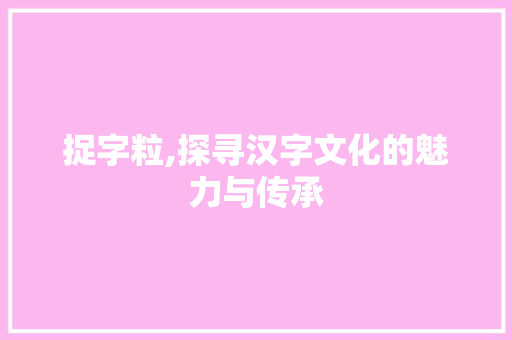捉字粒,探寻汉字文化的魅力与传承
