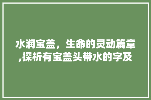 水润宝盖，生命的灵动篇章,探析有宝盖头带水的字及其内涵_有宝盖头带水的意思的字