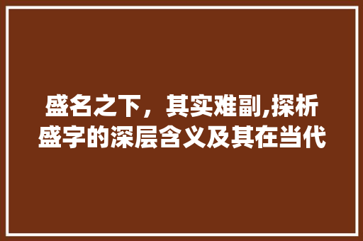 盛名之下，其实难副,探析盛字的深层含义及其在当代社会的应用_盛名中的盛字是什么意思