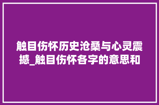 触目伤怀历史沧桑与心灵震撼_触目伤怀各字的意思和造句