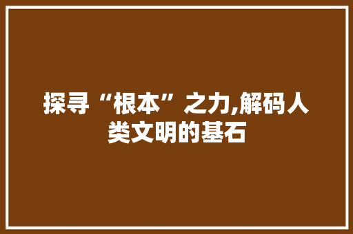 探寻“根本”之力,解码人类文明的基石