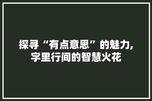 探寻“有点意思”的魅力,字里行间的智慧火花