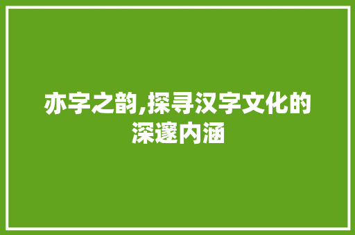 亦字之韵,探寻汉字文化的深邃内涵
