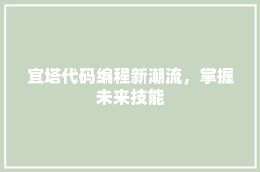 宜塔代码编程新潮流，掌握未来技能